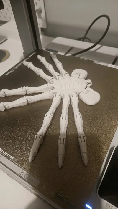 https://makerworld.bblmw.com/makerworld/model/125275/135302/ratings/ff119770-bd7d-11f0-99a0-9da8a0a9ef2e.jpg