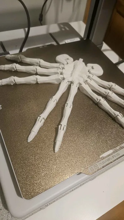 https://makerworld.bblmw.com/makerworld/model/125275/135302/ratings/ffe5d760-bd7d-11f0-99a0-9da8a0a9ef2e.jpg