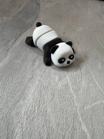 https://makerworld.bblmw.com/makerworld/model/1253219/1276030/ratings/1c29eff0-0bd7-11f0-abbc-7513ae40d836.jpg