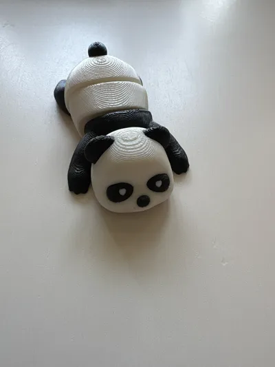 https://makerworld.bblmw.com/makerworld/model/1253219/1276030/ratings/de3dc220-4f51-11f0-91f4-f5d7eff05088.jpg