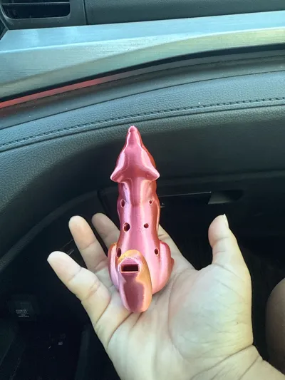 https://makerworld.bblmw.com/makerworld/model/1254330/1277372/ratings/ccb4c310-2818-11f0-96a0-b5efb38bbe7f.jpg
