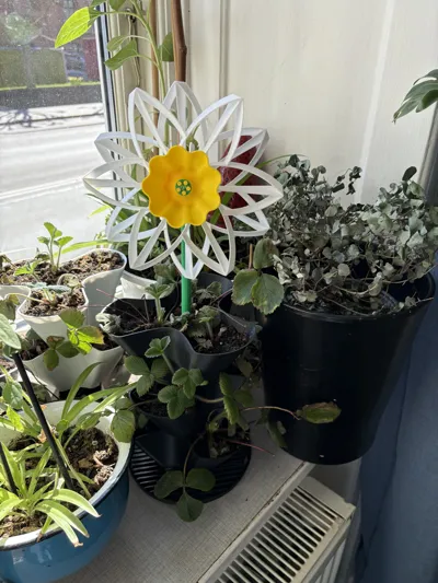 https://makerworld.bblmw.com/makerworld/model/1254871/1320062/ratings/8496a980-13b5-11f0-a7e0-2b759aed85eb.jpg
