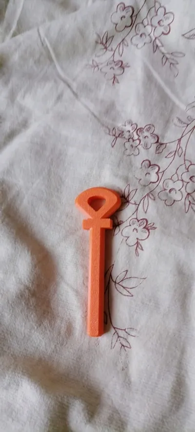 https://makerworld.bblmw.com/makerworld/model/1255466/1278729/ratings/385bf8b0-67d2-11f0-af85-ab4e9e706b75.jpg