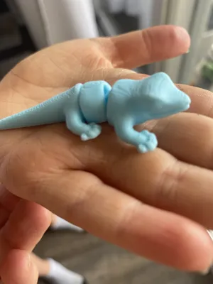 https://makerworld.bblmw.com/makerworld/model/1257247/1280861/ratings/198d2b80-81f8-11f0-92f4-efc3e5548c35.jpg