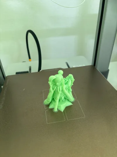 https://makerworld.bblmw.com/makerworld/model/1257298/1280936/ratings/221f7910-12f9-11f0-83e2-092e560b9958.jpg
