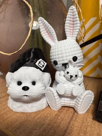 https://makerworld.bblmw.com/makerworld/model/1257879/1281637/ratings/39835a80-5201-11f0-b428-9f651a937890.jpg