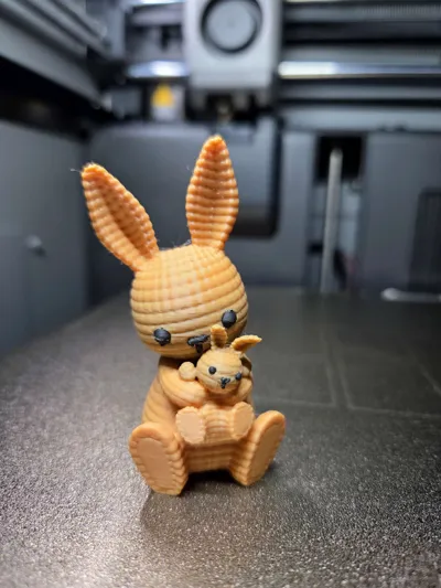 https://makerworld.bblmw.com/makerworld/model/1257879/1281637/ratings/3d7ff5d0-d361-11f0-8f1b-ef5e97c3cbde.jpg