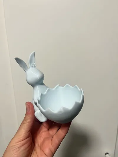 https://makerworld.bblmw.com/makerworld/model/1258008/1281798/ratings/089f1320-10a0-11f0-af06-ef3fc5472e72.jpg