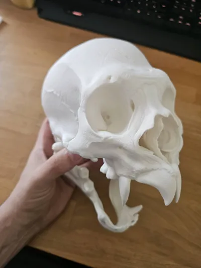 https://makerworld.bblmw.com/makerworld/model/1258328/1282199/ratings/542d85a0-1d3f-11f0-af91-b9253dba323a.jpg