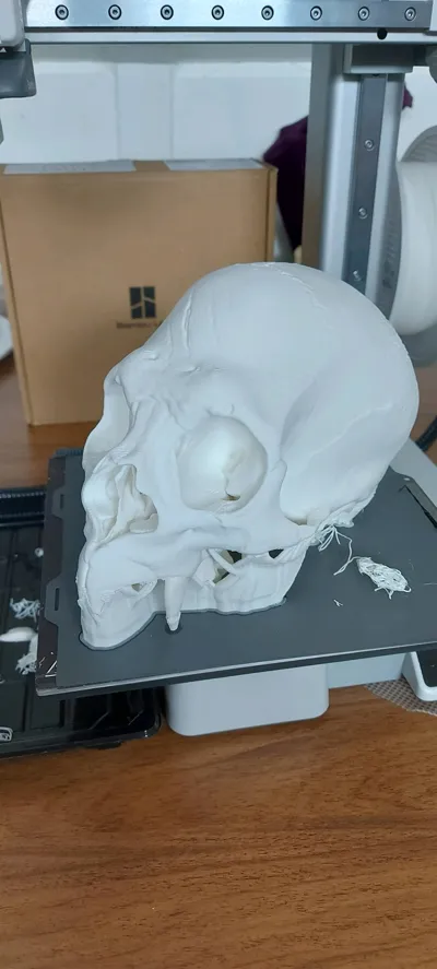 https://makerworld.bblmw.com/makerworld/model/1258328/1282199/ratings/dbf1a100-1863-11f0-b52d-6d00803692ba.jpg