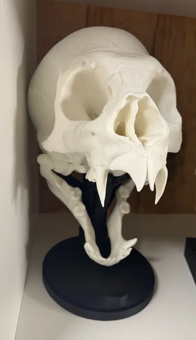 https://makerworld.bblmw.com/makerworld/model/1258328/1327530/ratings/3ab32e40-6b37-11f0-9a98-c3603c262b32.jpg