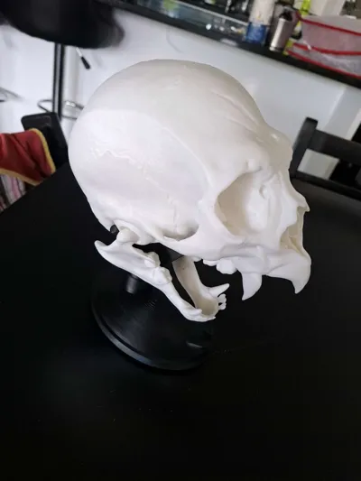 https://makerworld.bblmw.com/makerworld/model/1258328/1327530/ratings/8a73a490-1d27-11f0-8e54-6f0c25d14fe2.jpg