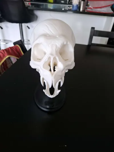 https://makerworld.bblmw.com/makerworld/model/1258328/1327530/ratings/8a7a5b50-1d27-11f0-8e54-6f0c25d14fe2.jpg