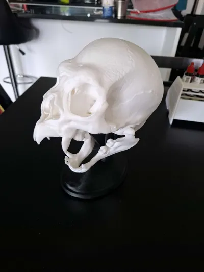 https://makerworld.bblmw.com/makerworld/model/1258328/1327530/ratings/8a7d8fa0-1d27-11f0-8e54-6f0c25d14fe2.jpg