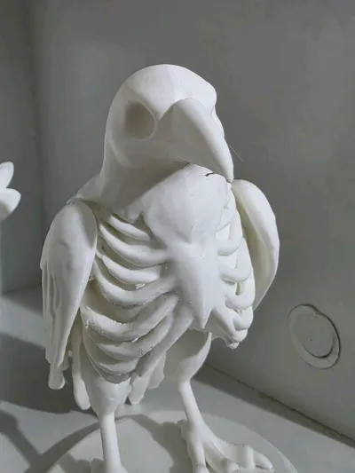 https://makerworld.bblmw.com/makerworld/model/1258359/1282234/ratings/8ca1e150-6417-11f0-a60e-e5fbb524b527.jpg