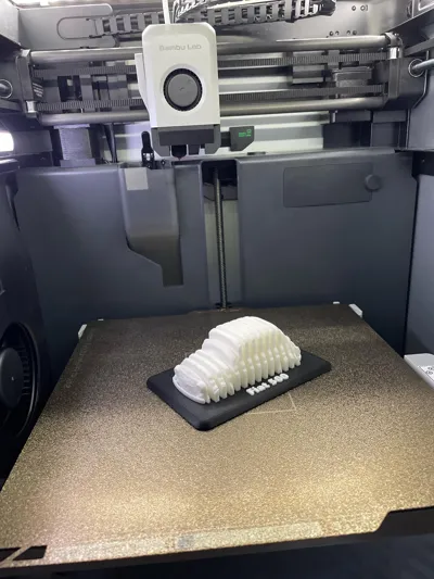 https://makerworld.bblmw.com/makerworld/model/1259384/1283461/ratings/390e90e0-7ebd-11f0-96ee-f35b5d46eeed.jpg