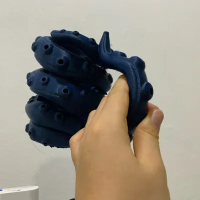 https://makerworld.bblmw.com/makerworld/model/1260293/1284620/ratings/97824220-967d-11f0-9ada-4db577189670.jpg