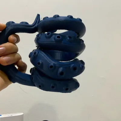 https://makerworld.bblmw.com/makerworld/model/1260293/1284620/ratings/97854f60-967d-11f0-9ada-4db577189670.jpg