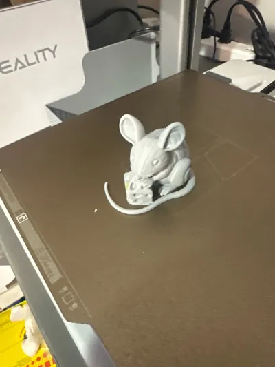 https://makerworld.bblmw.com/makerworld/model/1260953/1285467/ratings/0ab72eb0-19a9-11f0-ba97-d57cfa228a1e.jpg