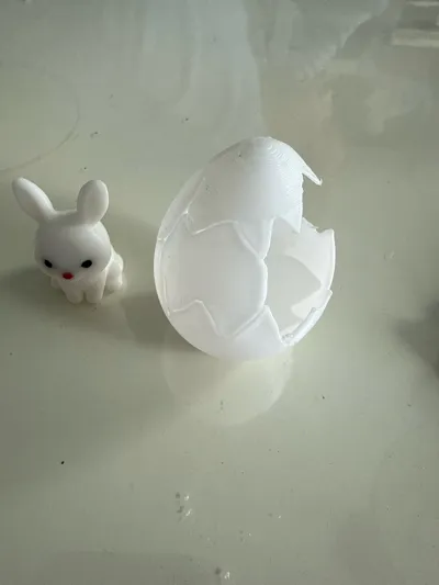 https://makerworld.bblmw.com/makerworld/model/1261871/1286694/ratings/ee9943d0-0e36-11f0-a1e4-d79a9f5e49ed.jpg