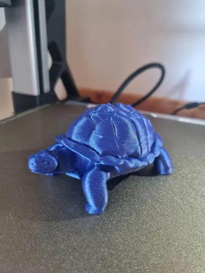 https://makerworld.bblmw.com/makerworld/model/1262517/1287484/ratings/56781e60-958f-11f0-9973-e50ae3b3248d.jpg