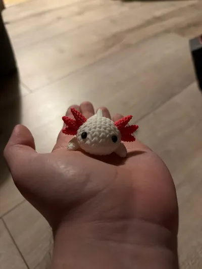 https://makerworld.bblmw.com/makerworld/model/1262519/1287530/ratings/b44d75a0-f05f-11f0-83d8-dbfbed4e7528.jpg