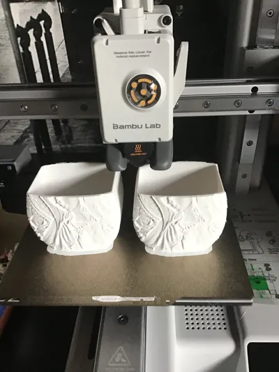 https://makerworld.bblmw.com/makerworld/model/1262830/1287908/ratings/f8be46a0-8f3a-11f0-9873-fd7d531599a8.jpg