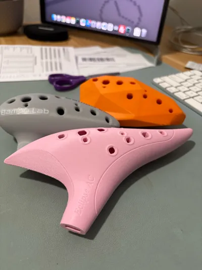 https://makerworld.bblmw.com/makerworld/model/1263569/1288743/ratings/d7d18560-0fe7-11f0-a564-8719ed5dea04.jpg