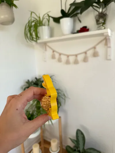 https://makerworld.bblmw.com/makerworld/model/1263674/1288880/ratings/e5ba0900-2283-11f0-95bc-e3d23bab9e72.jpg