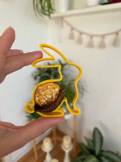 https://makerworld.bblmw.com/makerworld/model/1263674/1288880/ratings/e5bdb280-2283-11f0-95bc-e3d23bab9e72.jpg