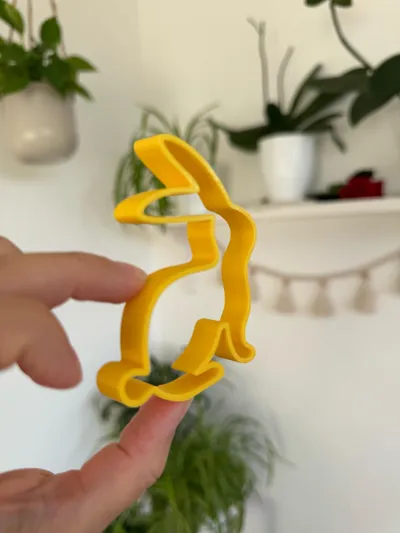https://makerworld.bblmw.com/makerworld/model/1263674/1288880/ratings/e5c9e780-2283-11f0-95bc-e3d23bab9e72.jpg