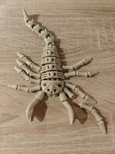 https://makerworld.bblmw.com/makerworld/model/1264290/1289626/ratings/92a97a20-9ef2-11f0-bf48-a1cce7e3635f.jpg