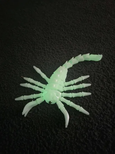 https://makerworld.bblmw.com/makerworld/model/1264290/1289626/ratings/b34165f0-ee74-11f0-955d-39b78eb72281.jpg