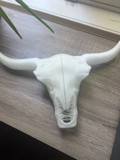 https://makerworld.bblmw.com/makerworld/model/1266303/1292126/ratings/75106080-5480-11f0-bcbe-df41355fd443.jpg