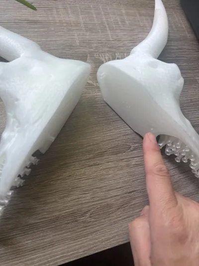 https://makerworld.bblmw.com/makerworld/model/1266303/1292126/ratings/75196130-5480-11f0-bcbe-df41355fd443.jpg