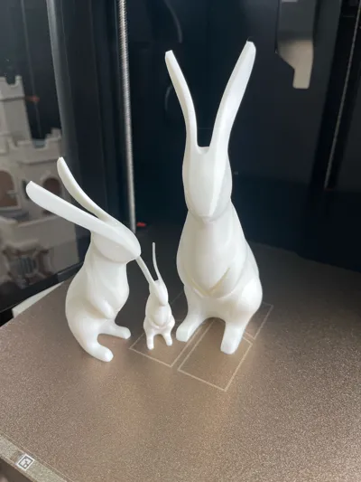 https://makerworld.bblmw.com/makerworld/model/1266850/1292763/ratings/75a97780-52a4-11f0-9713-6b921902eaba.jpg