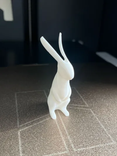 https://makerworld.bblmw.com/makerworld/model/1266850/1292824/ratings/f64e59a0-5295-11f0-9e03-f7b5fdb003ff.jpg
