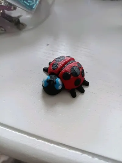 https://makerworld.bblmw.com/makerworld/model/126689/136990/ratings/3b992a20-c1aa-11f0-81c5-e5472db16dd9.jpg