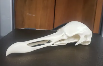 https://makerworld.bblmw.com/makerworld/model/1268051/1294181/ratings/44514470-c062-11f0-848a-c535a623624b.jpg