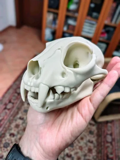 https://makerworld.bblmw.com/makerworld/model/1270543/1297157/ratings/4fdfac70-0fa3-11f0-8b2b-f18f0b4c1509.jpg