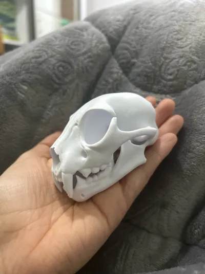 https://makerworld.bblmw.com/makerworld/model/1270543/1297180/ratings/fc9ae3e0-8b71-11f0-bdd8-bf0fc90f83f4.jpg