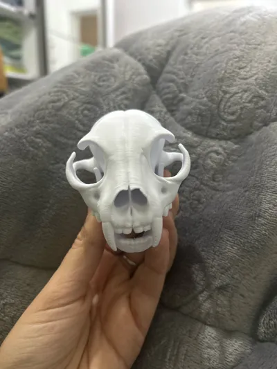 https://makerworld.bblmw.com/makerworld/model/1270543/1297180/ratings/fc9bce40-8b71-11f0-bdd8-bf0fc90f83f4.jpg