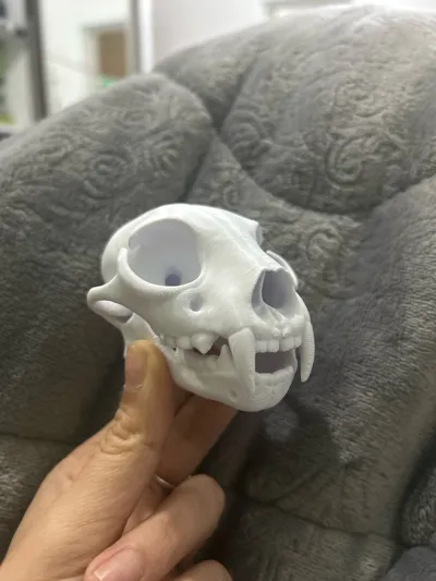https://makerworld.bblmw.com/makerworld/model/1270543/1297180/ratings/fc9cb8a0-8b71-11f0-bdd8-bf0fc90f83f4.jpg