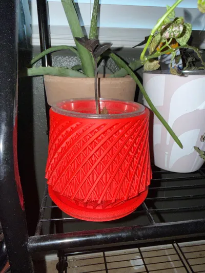 https://makerworld.bblmw.com/makerworld/model/1271167/1297950/ratings/8e7aefa0-e593-11f0-be16-e7500f181bff.jpg