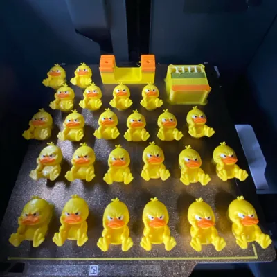 https://makerworld.bblmw.com/makerworld/model/1271313/1298143/ratings/9656fd00-2639-11f0-a1ca-857245cb02b9.jpg