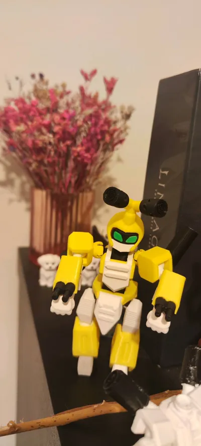 https://makerworld.bblmw.com/makerworld/model/1271409/1298266/ratings/47dab8a0-f4c0-11f0-9e5b-837e029ec456.jpg