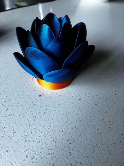 https://makerworld.bblmw.com/makerworld/model/1271835/1298758/ratings/6427a880-310a-11f0-bb22-a7ef2084a917.jpg