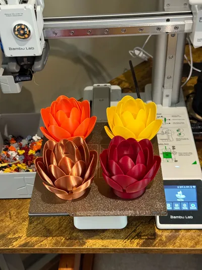 https://makerworld.bblmw.com/makerworld/model/1271835/1298758/ratings/82f9da50-ad40-11f0-adfa-cb11017a8894.jpg