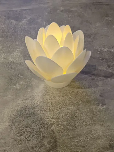 https://makerworld.bblmw.com/makerworld/model/1271835/1298758/ratings/9cc13340-d507-11f0-95b0-0903f6927661.jpg