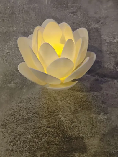 https://makerworld.bblmw.com/makerworld/model/1271835/1298758/ratings/9cc244b0-d507-11f0-95b0-0903f6927661.jpg